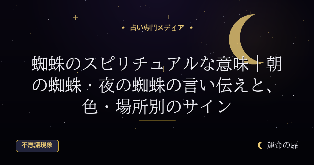 蜘蛛のスピリチュアルな意味｜朝の蜘蛛・夜の蜘蛛の言い伝えと、色・場所別のサイン