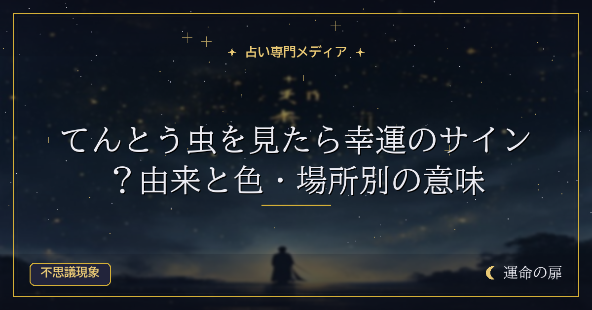 てんとう虫を見たら幸運のサイン？由来と色・場所別の意味